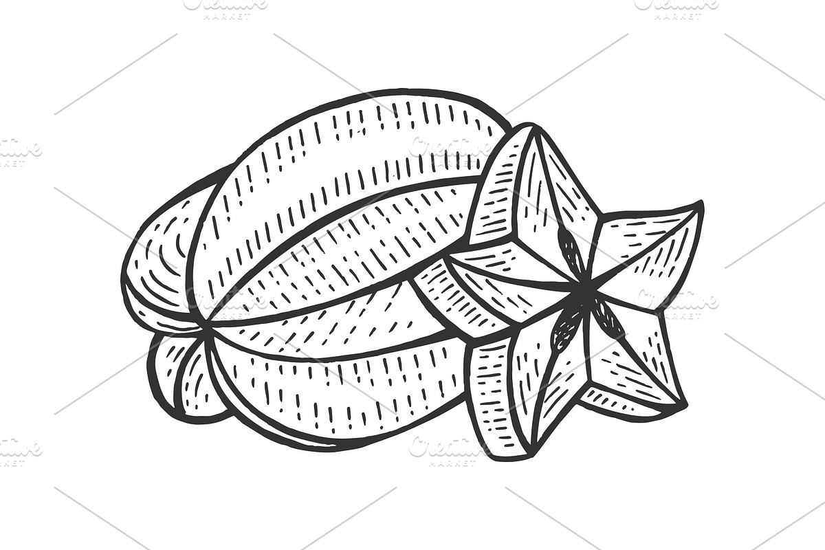 Carambola fruit sketch engraving in Illustrations - product preview 8