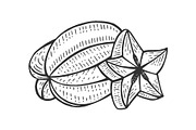 Carambola fruit sketch engraving