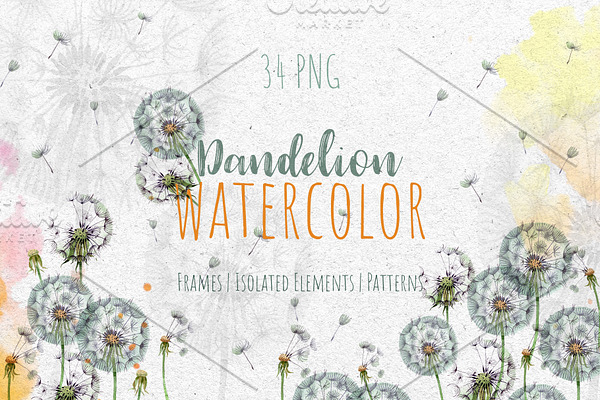 Dandelion Watercolor png