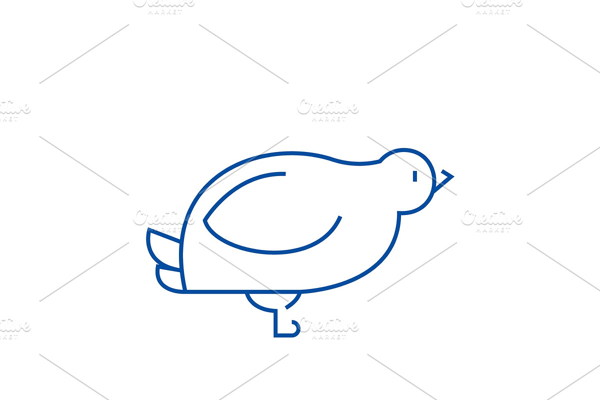 Dove,quail line icon concept. Dove in Illustrations - product preview 8