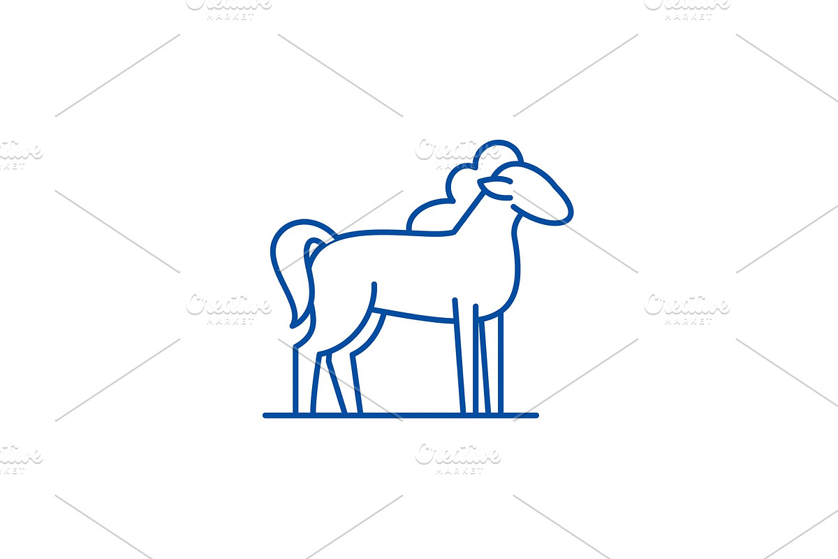 Pony line icon concept. Pony flat in Illustrations - product preview 8