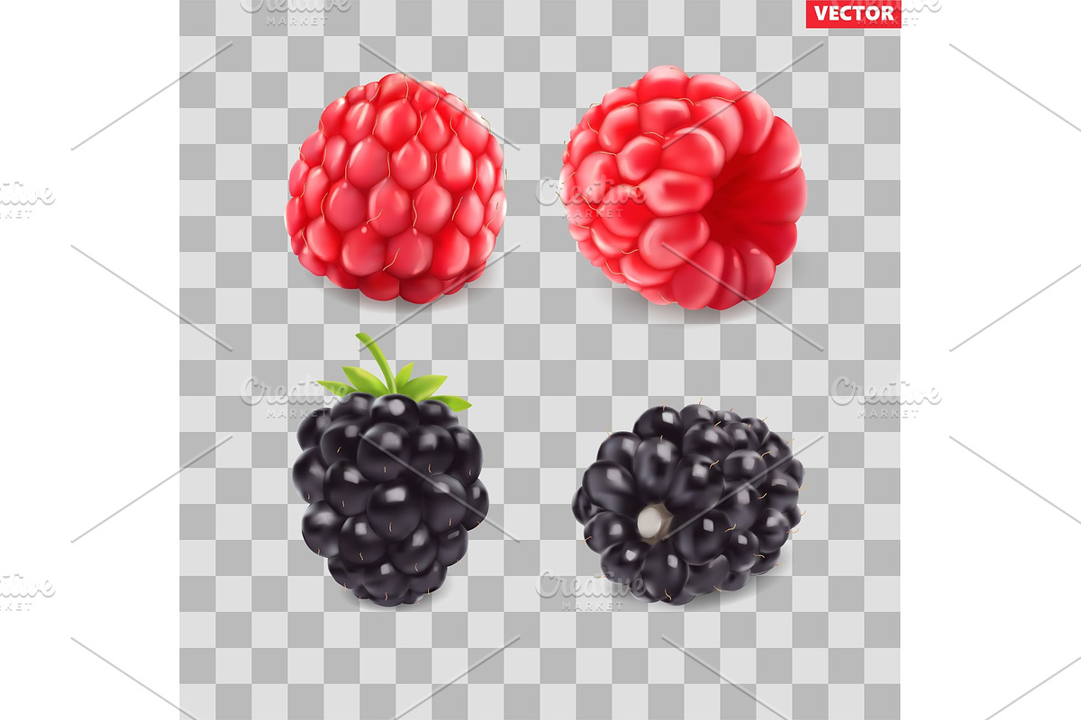 Blackberries and raspberries . Sweet in Icons - product preview 8