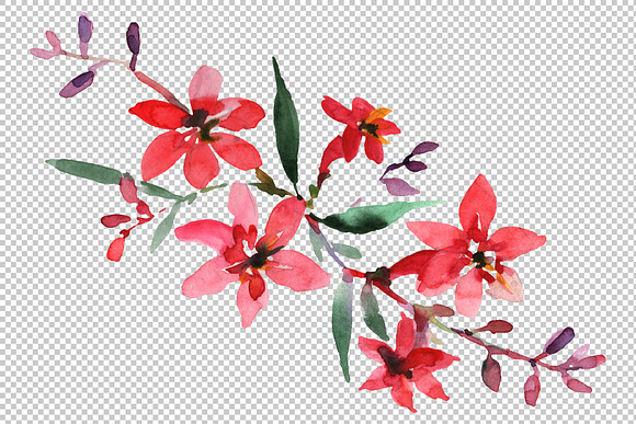 Bouquet Refinement Watercolor png in Illustrations - product preview 3