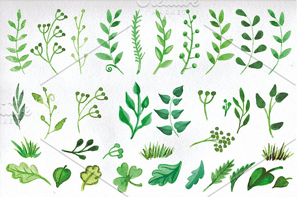 Watercolor green branches vector in Illustrations - product preview 1