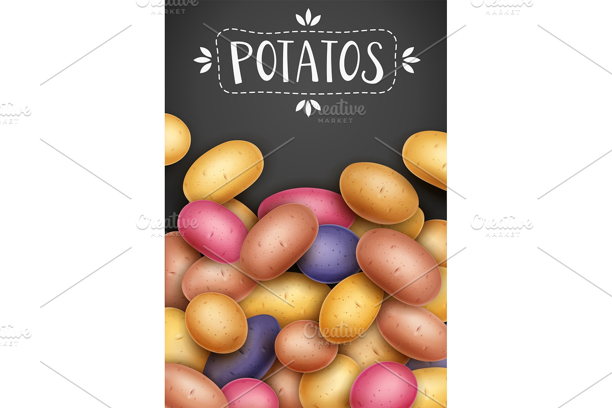 Potatoes. Useful vegetable. Vector. in Illustrations - product preview 8