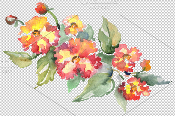 Bouquet Hoverla Watercolor png in Illustrations - product preview 2