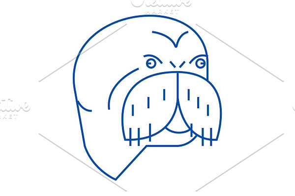 Seal head line icon concept. Seal