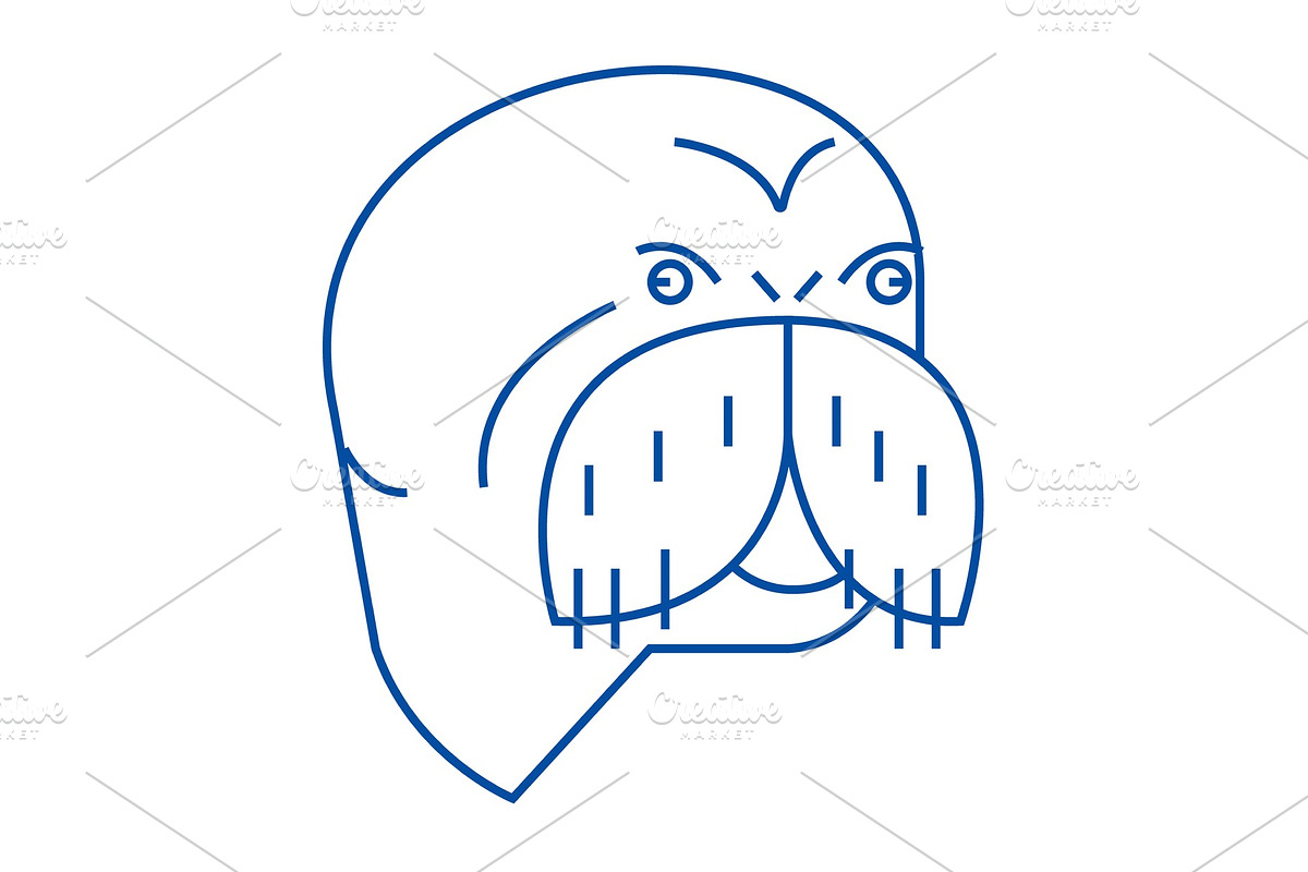 Seal head line icon concept. Seal in Illustrations - product preview 8