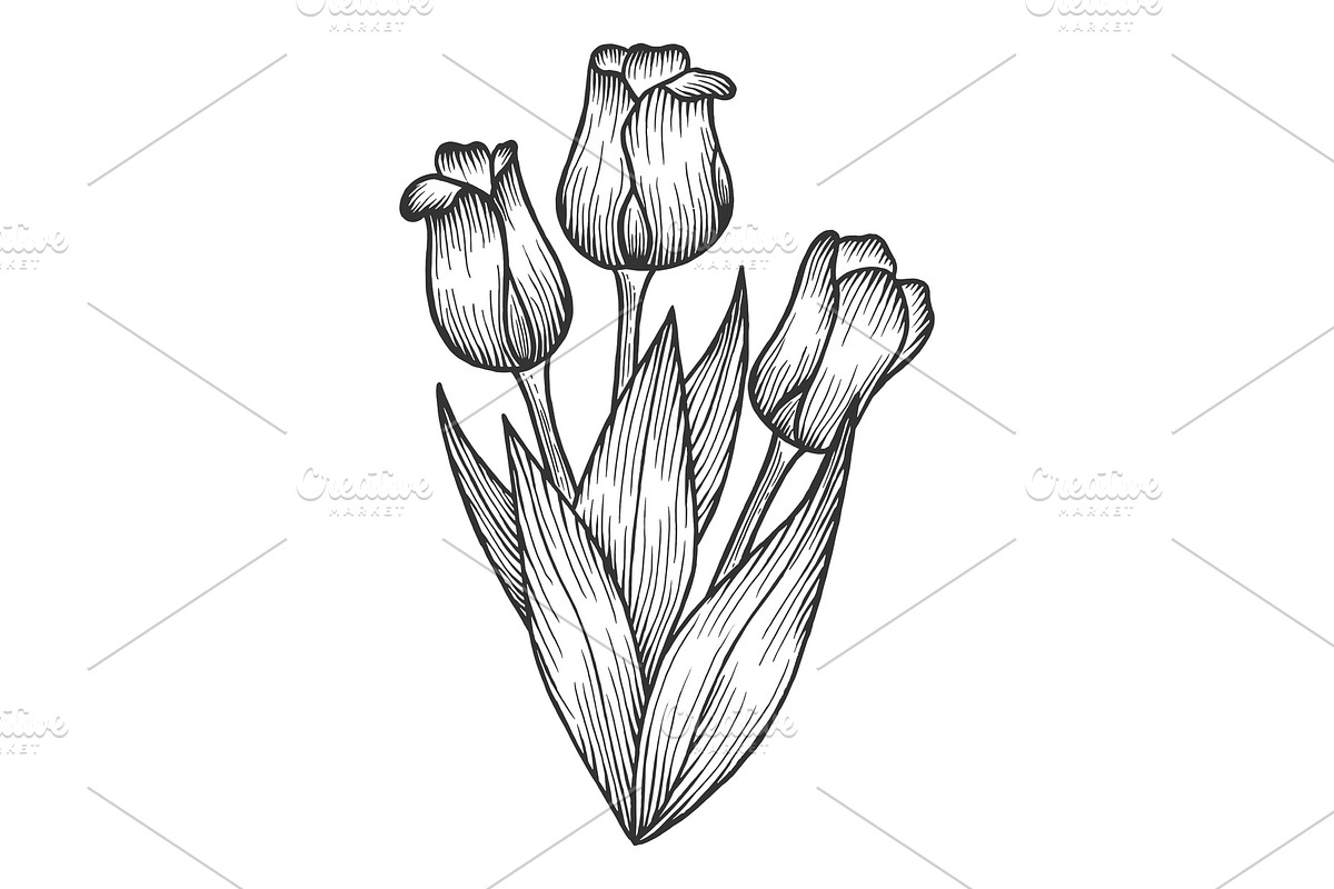 Tulip flowers sketch engraving in Illustrations - product preview 8