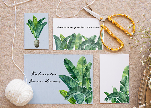 Banana palm leaves in Illustrations - product preview 4