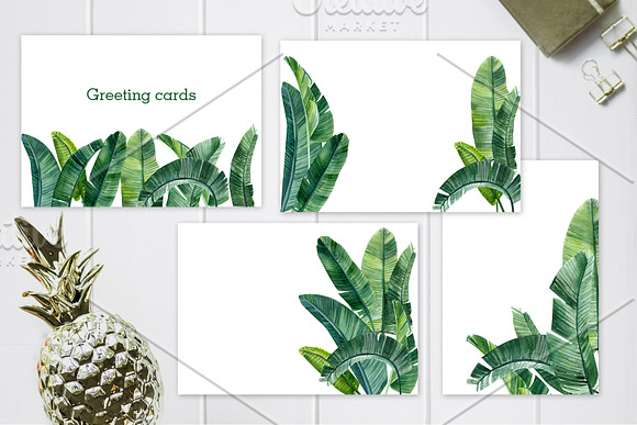 Banana palm leaves in Illustrations - product preview 5
