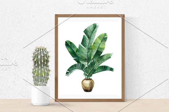 Banana palm leaves in Illustrations - product preview 7
