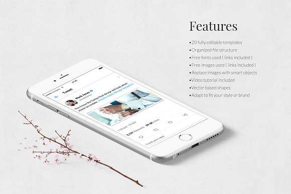 Luxury Twitter Posts in Twitter Templates - product preview 2