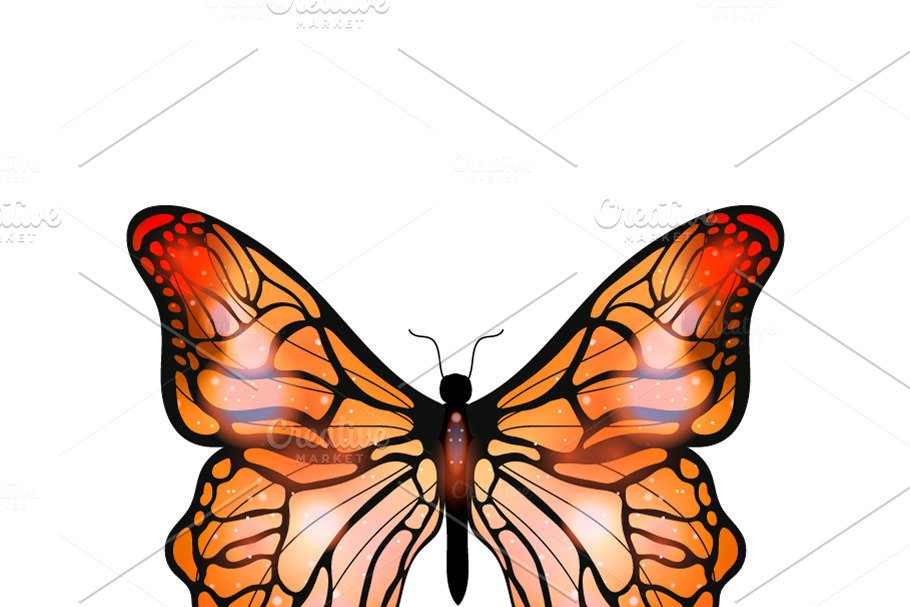 Bright orange exotic butterfly in Objects - product preview 8