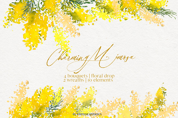 Charming Mimosa - Yellow Flowers PNG