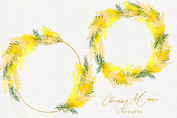 Charming Mimosa - Yellow Flowers PNG in Illustrations - product preview 2