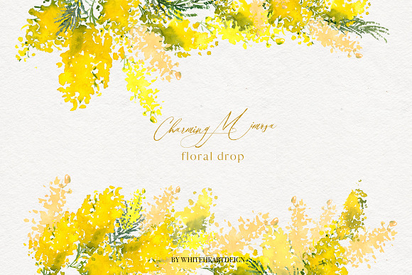 Charming Mimosa - Yellow Flowers PNG in Illustrations - product preview 3