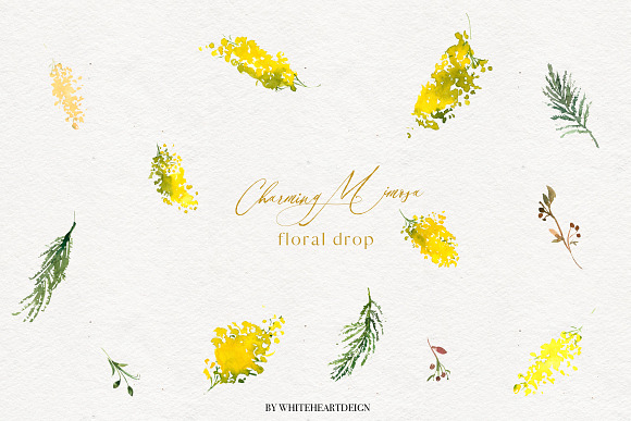 Charming Mimosa - Yellow Flowers PNG in Illustrations - product preview 4