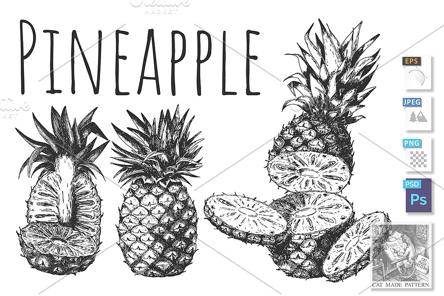 Pineapple cut set. Tropical fruits in Illustrations - product preview 8