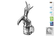 Two tulips in glass jar with handle