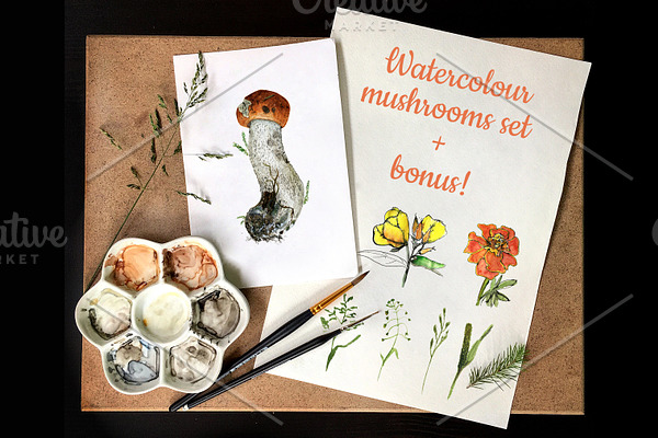 Hand drawn watercolour mushrooms set