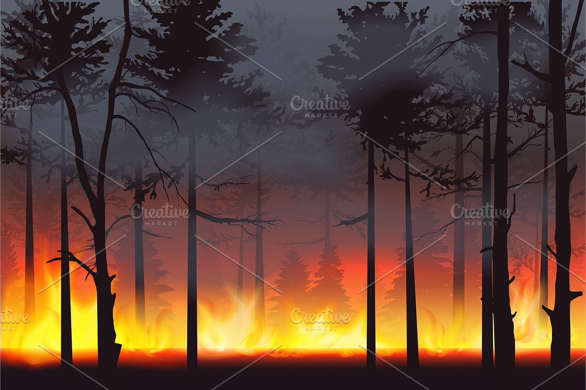 Wildfire forest fire disaster in Illustrations - product preview 8