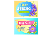 Best Spring Big Sale Advertisement