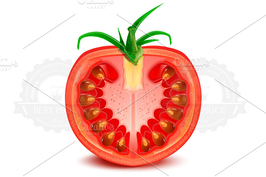 Tomato Slice in Illustrations - product preview 8