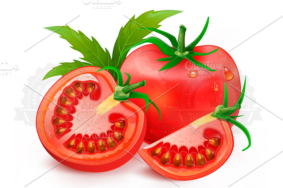 Tomatoes in Illustrations - product preview 8
