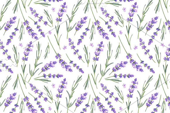 Set of Lavender Floral Patterns in Patterns - product preview 1