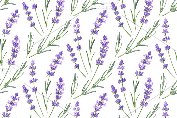 Set of Lavender Floral Patterns in Patterns - product preview 2