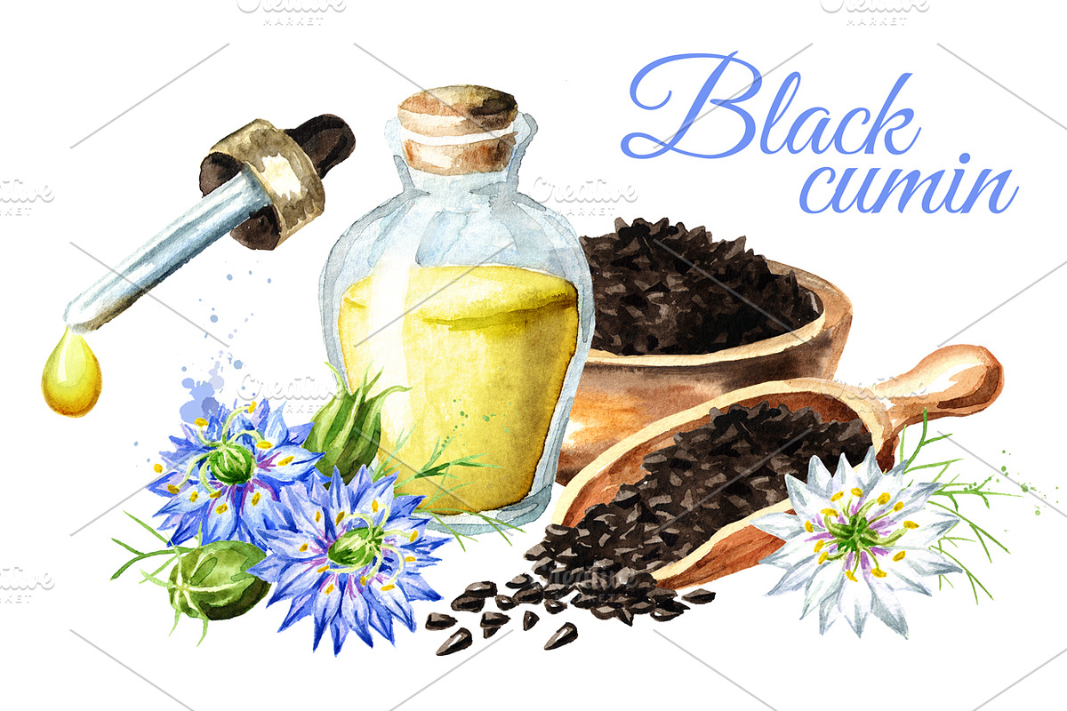 Black cumin in Illustrations - product preview 8