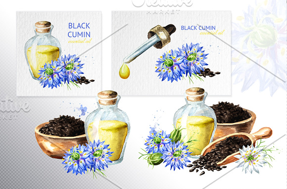 Black cumin in Illustrations - product preview 3