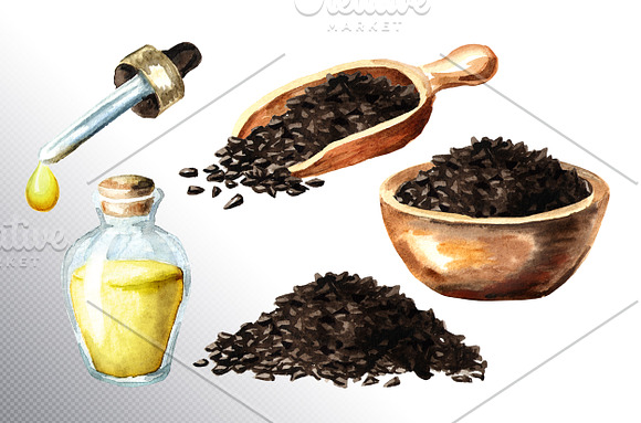 Black cumin in Illustrations - product preview 5