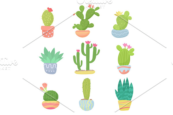 Cartoon cute pot cactuses set
