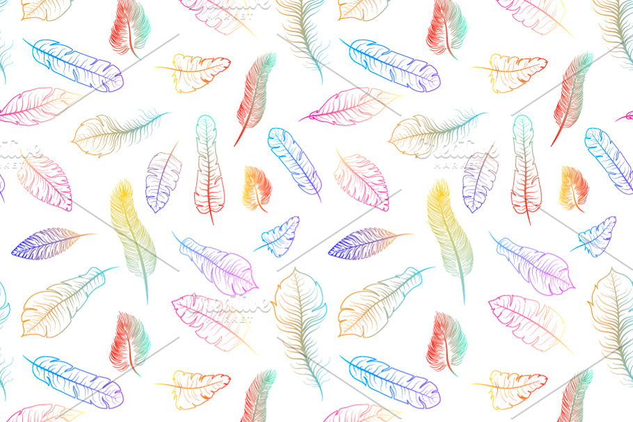 Colorful exotic feathers on white