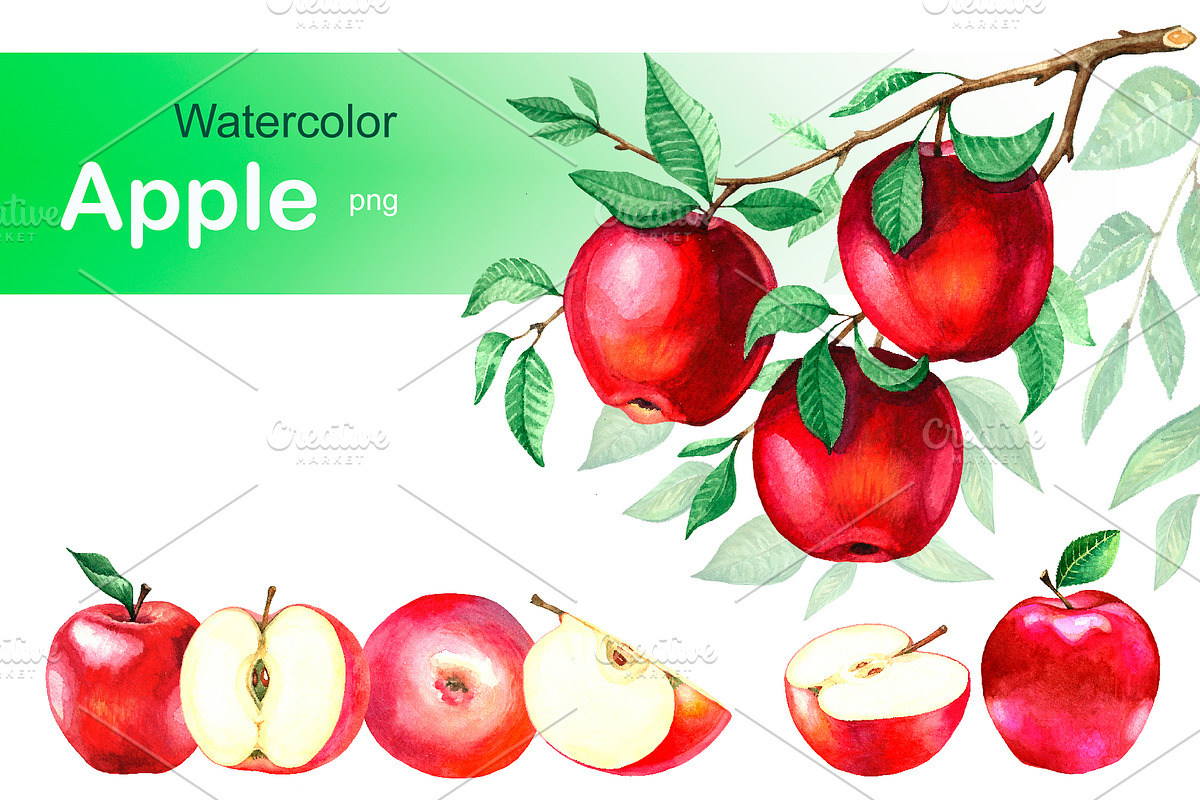 Watercolor apples. Collection. in Illustrations - product preview 8
