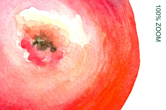 Watercolor apples. Collection. in Illustrations - product preview 2