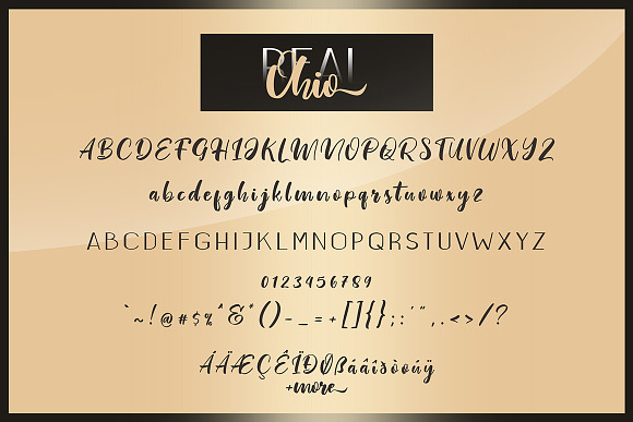 Real Ohio Font Duo in Script Fonts - product preview 7