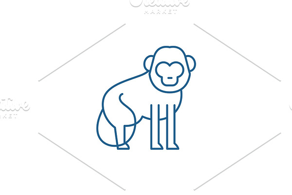 Baboon line icon concept. Baboon