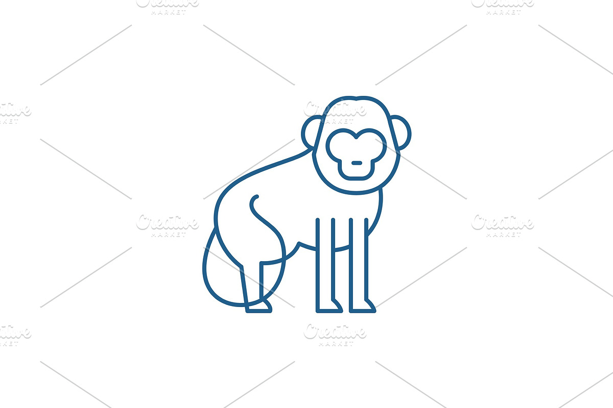 Baboon line icon concept. Baboon in Illustrations - product preview 8