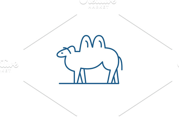 Camel line icon concept. Camel flat
