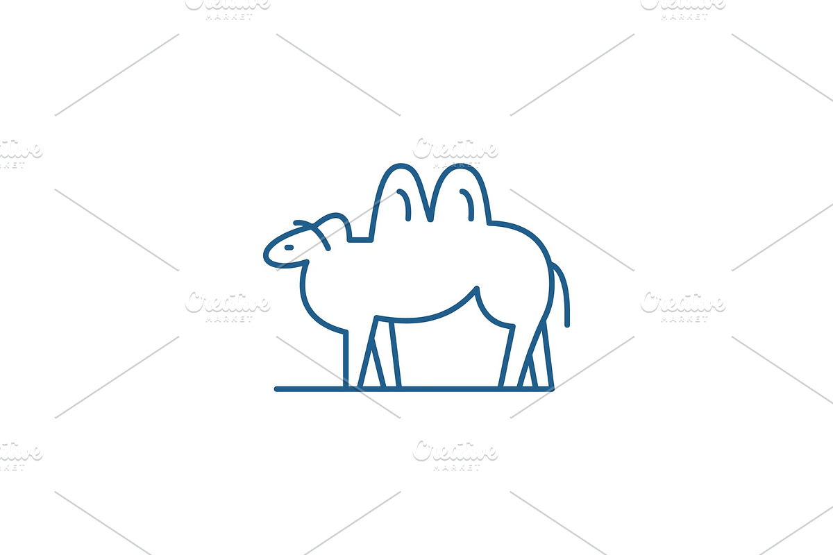 Camel line icon concept. Camel flat in Illustrations - product preview 8