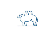 Camel line icon concept. Camel flat