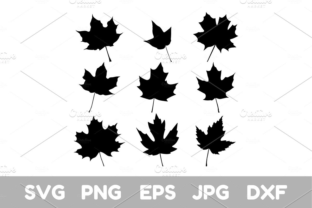 Maple Leaf in Objects - product preview 8