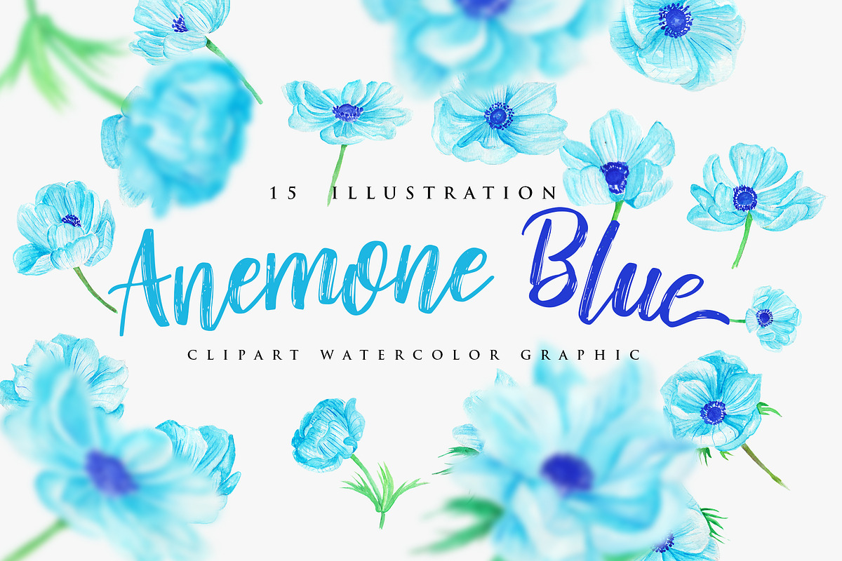 Anemone Blue Flower Watercolor in Objects - product preview 8