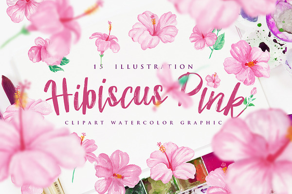 Hibiscus Pink Flower Watercolor