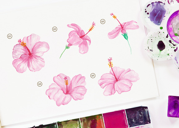 Hibiscus Pink Flower Watercolor in Illustrations - product preview 1