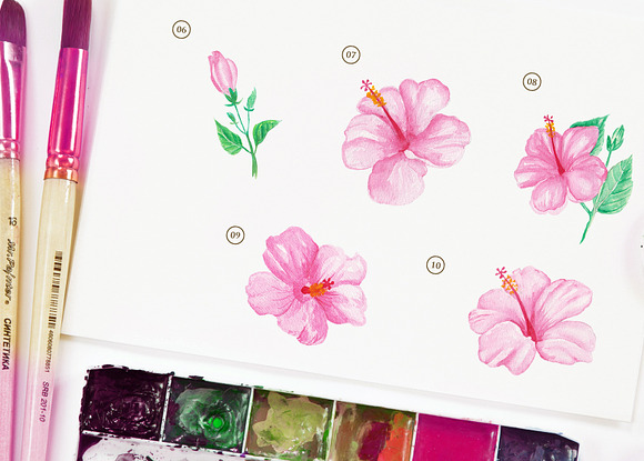 Hibiscus Pink Flower Watercolor in Illustrations - product preview 2
