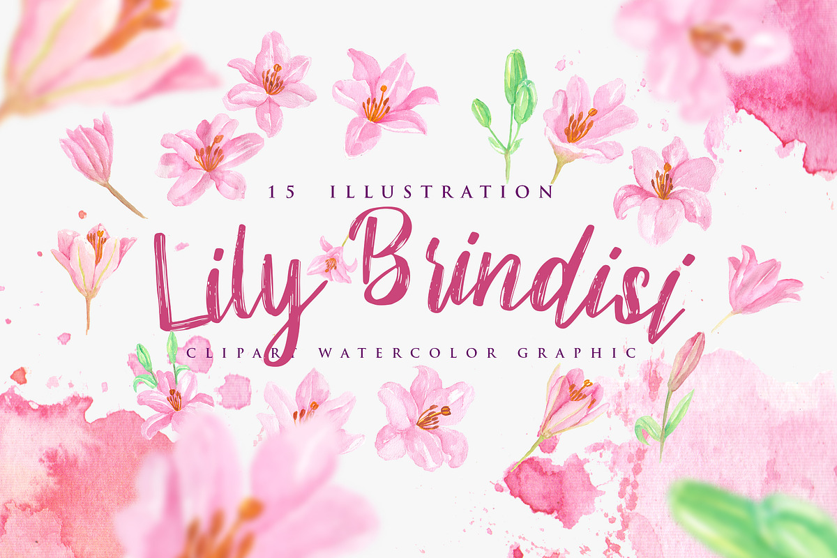 Lily Brindisi Flower Watercolor in Objects - product preview 8
